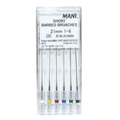 Picture of Barbed Broaches Mani Japan Original
