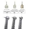Picture of Being Foshan Original Handpiece & Cartridge
