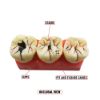 Picture of Caries Probe AIZ Original