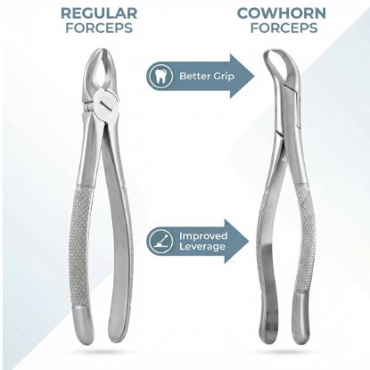 Picture of Cowhorn Forcep