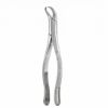 Picture of Cowhorn Forcep