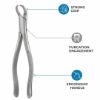 Picture of Cowhorn Forcep
