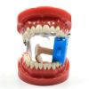 Picture of Dental Photo Contrast Black Background Set