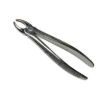 Picture of Extraction Forceps Adult QA & BROTHERS Original
