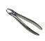 Picture of Extraction Forceps Adult QA & BROTHERS Original