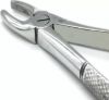 Picture of Extraction Forceps Adult QA & BROTHERS Original