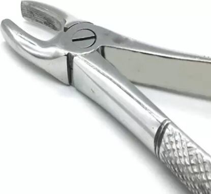 Picture of Extraction Forceps Adult QA & BROTHERS Original