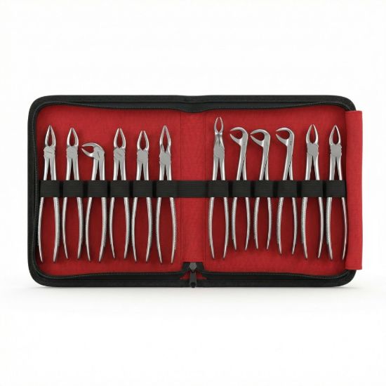 Picture of Extraction Forceps Child QA & BROTHERS Original