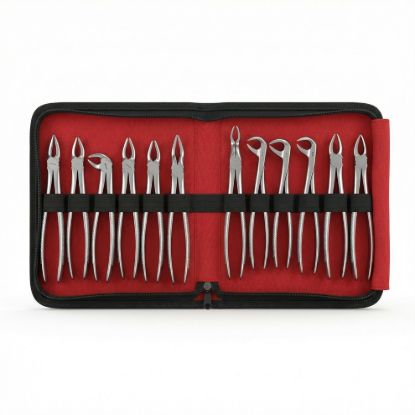 Picture of Extraction Set Adult AIZ Premium Original
