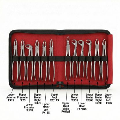 Picture of Extraction Set Adult AIZ Premium Original