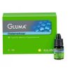 Picture of Gluma Desensitizer KULZER Germany