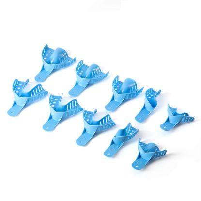 Picture of Impression Tray Perforated & Rim Lock Type