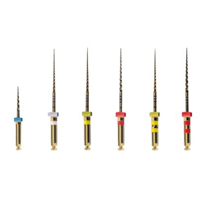 Picture of Kinetic Flex File