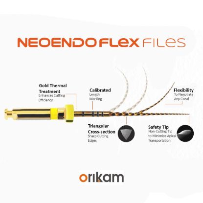 Picture of Kinetic Flex File