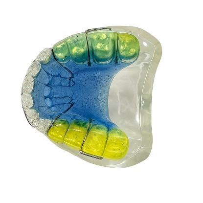 Picture of Multicolor Skull 4D With Movable Mandible