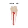 Picture of RCT Practice Model Transparent Resin Block