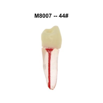 Picture of RCT Practice Model Transparent Resin Block