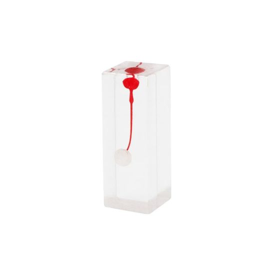 Picture of Root Canal File Block Organizer 16 Holes Autoclavable