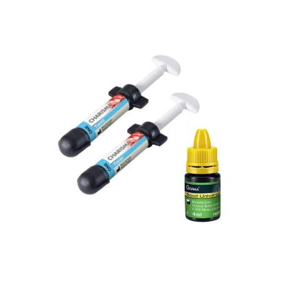 Picture of Shade Guide Acrylic Resin Teeth Quest Japan