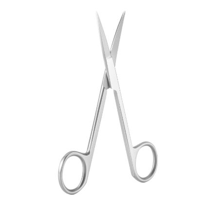Picture of Surgical Gum Scissor